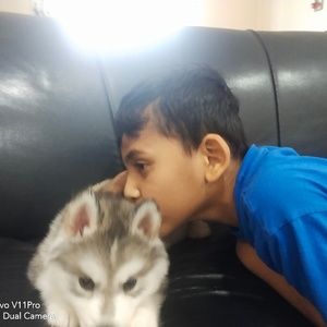 Meet your Posher, Deepa